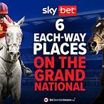 sky bet grand national yes or no